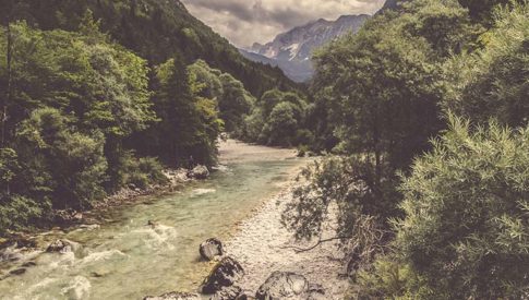 path through woods with mountains in background
