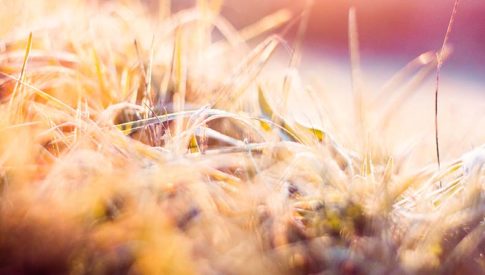 11.22_blog_post_image