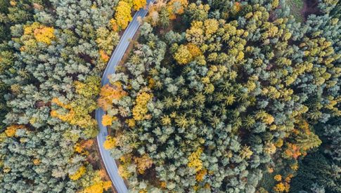 11.28_blog_post_image