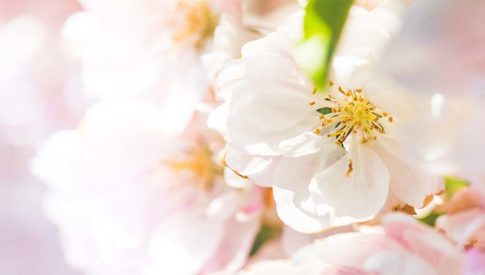 1.24_blog_post_image