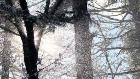 Blog_Image_College_Winter_Break