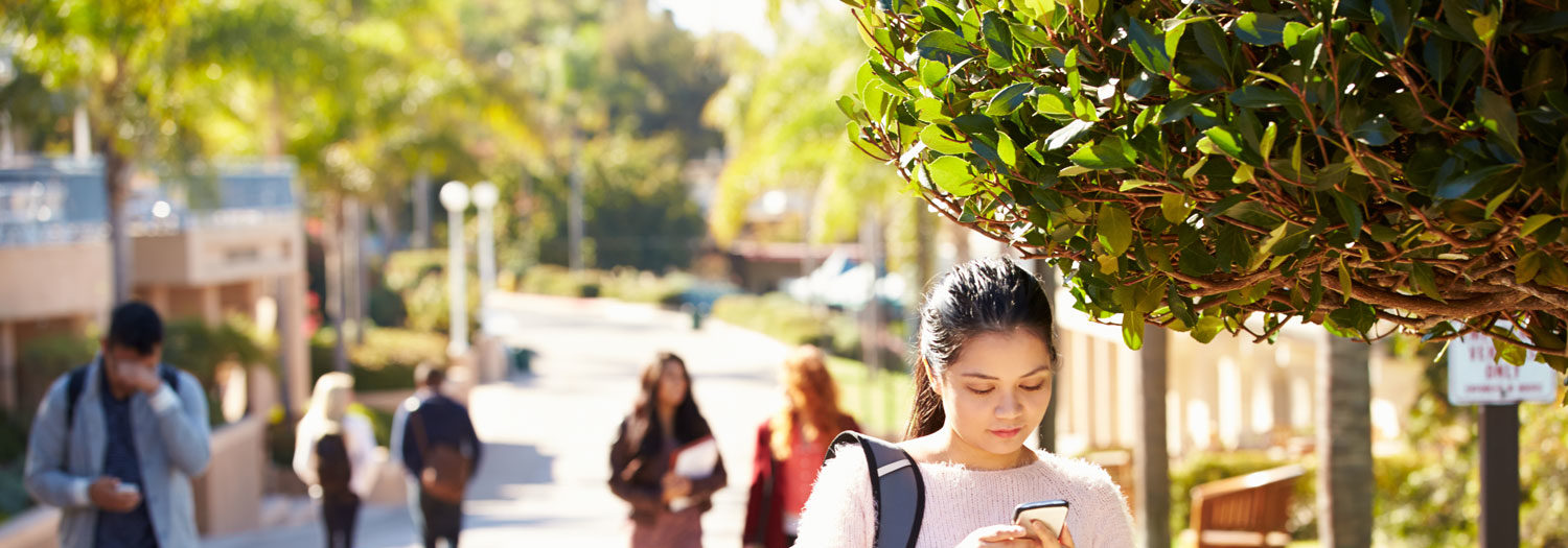 MindWise on Campus Header