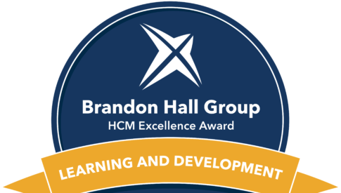 Brandon Hall Gold Award image