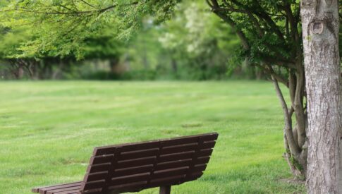 How to Grieve with the best of them